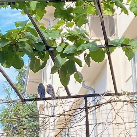 Ivano Guest house 2*