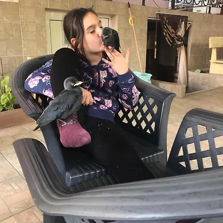 Guest house Ivano 2*