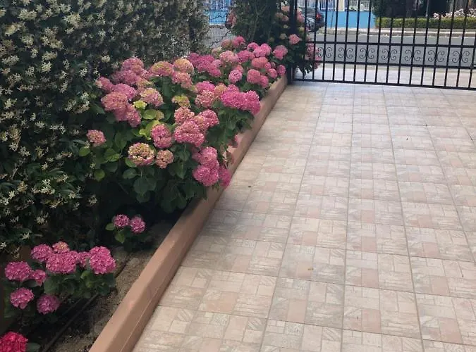 Guest house Ivano Primorsko