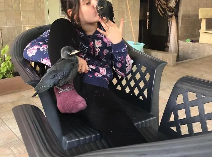 Guest house Ivano 2*